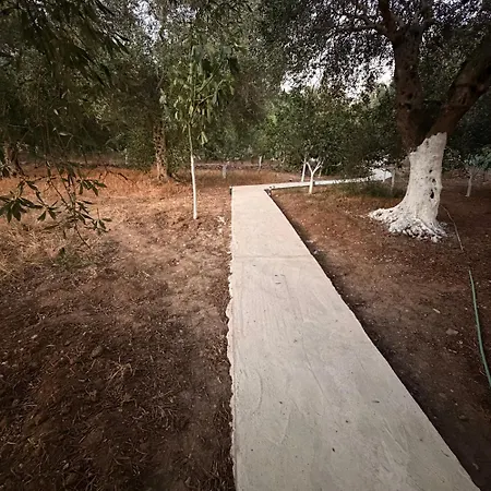 Olive Breeze Appartamento *