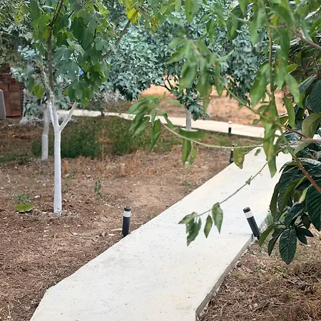 Olive Breeze Himare