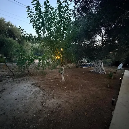 Olive Breeze Himare