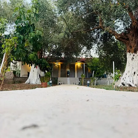 Apartment Olive Breeze