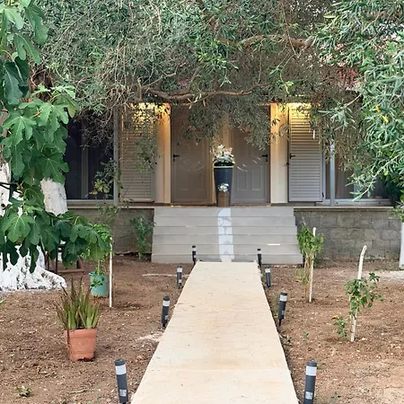 Olive Breeze Apartment