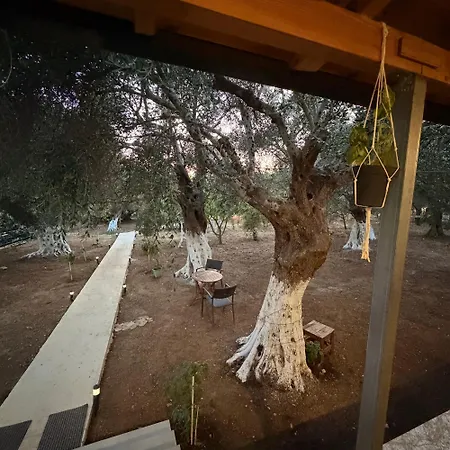 Apartment Olive Breeze
